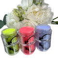 Poudre Artistique VD - Collection PIRATES